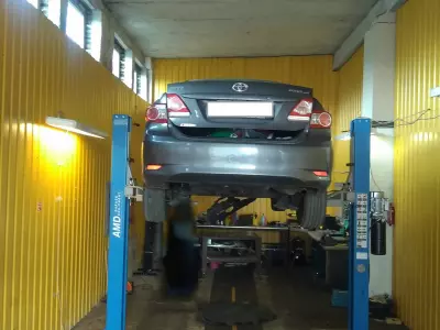 Предыдущая картинка